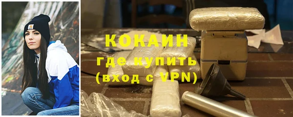 гашик Алексин