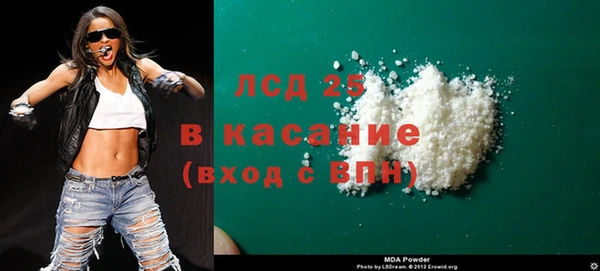 гашик Алексин