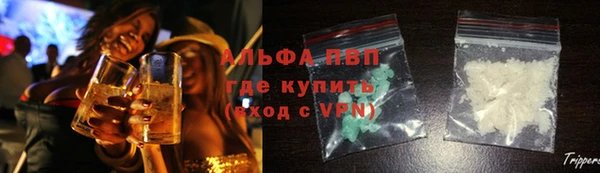 гашик Алексин