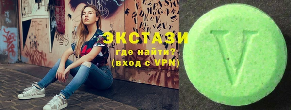 гашик Алексин