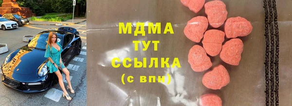 гашик Алексин