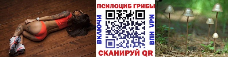 купить наркоту  Сибай  Псилоцибиновые грибы GOLDEN TEACHER 